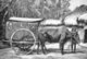 Vietnam: An ox cart near Saigon, 1872